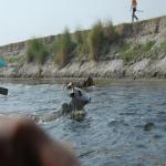 Vraj-Yatra-2014- (1017)